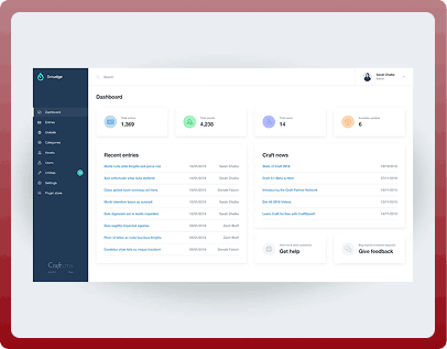 Custom CMS Development Company