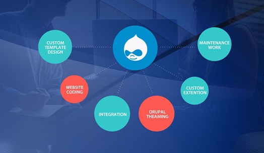 Custom Drupal Website Design and Development