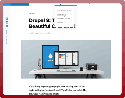 Los Angeles Drupal Developer