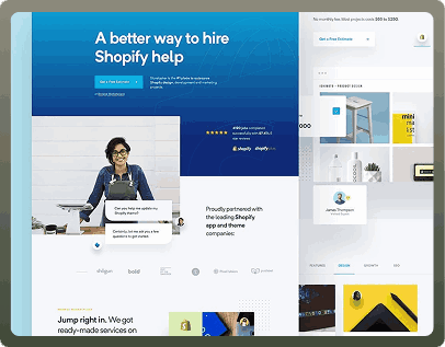 Shopify Website portfolio