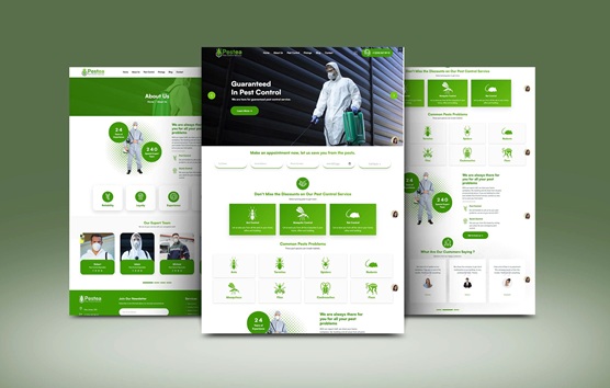 Custom Pest Control Website Design