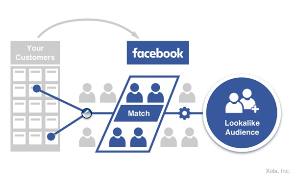 Lookalike and Interest-Based Audience Targeting