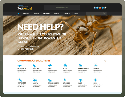 Responsive website