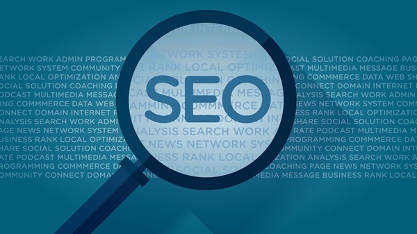 SEO-Optimized Pages for Local Veterinary Searches