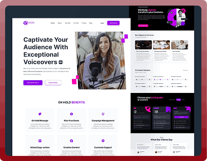 Santa Monica website design