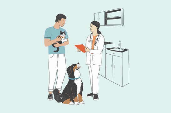 Treatment and Service Pages That Help Pet Owners Find You