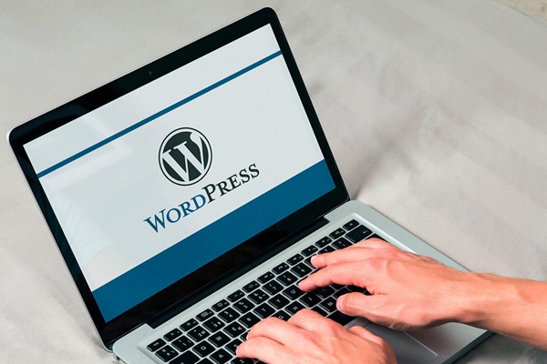 WordPress Development