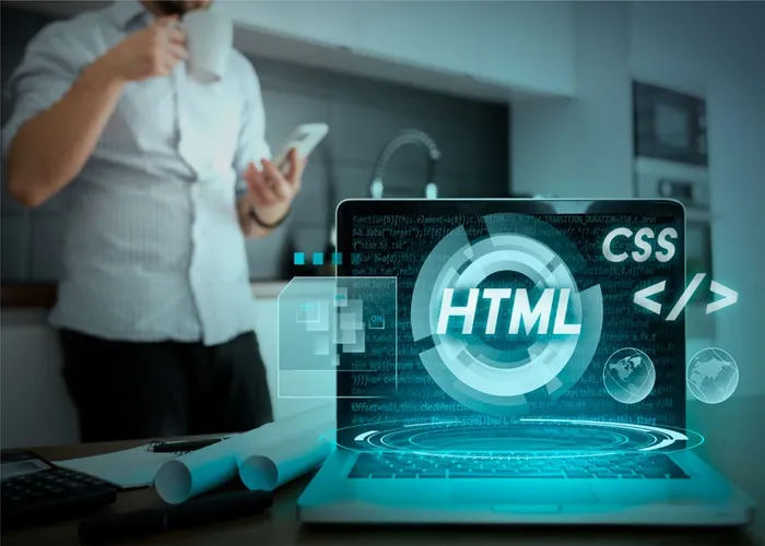 Wordpress web development