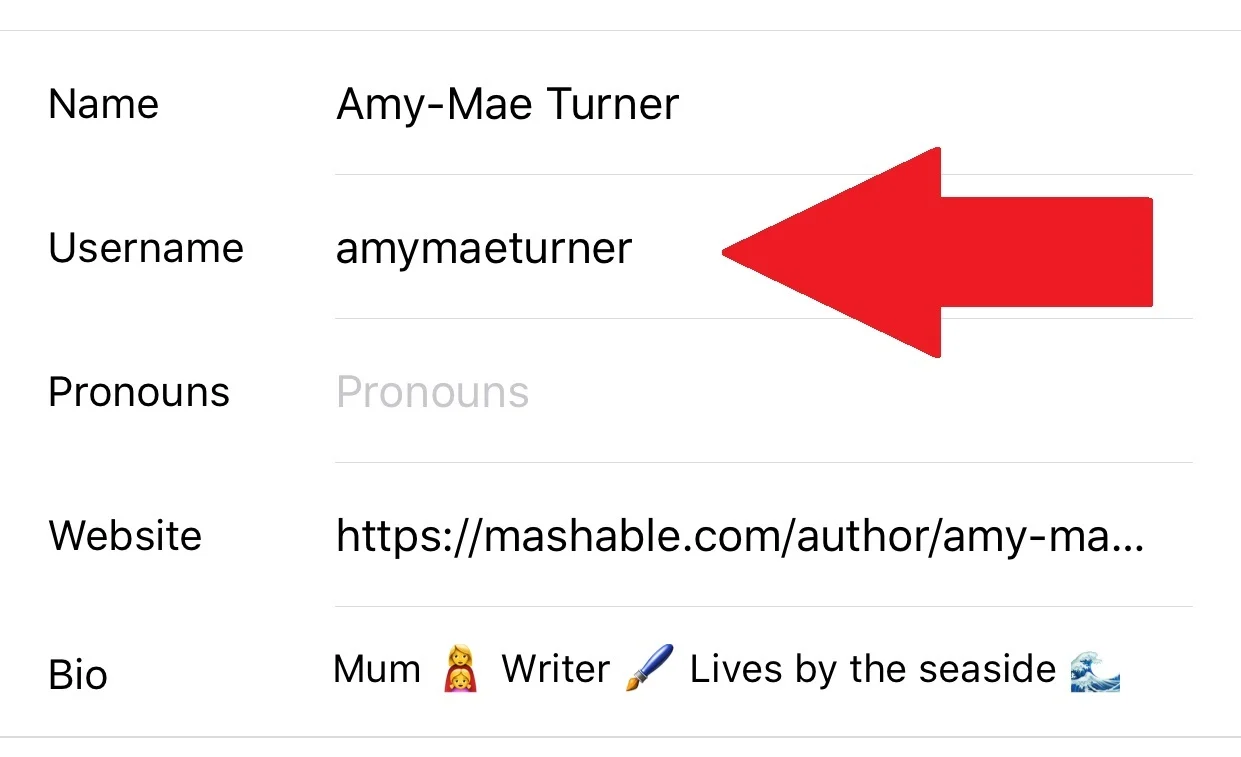Optimize Your Username on instagram