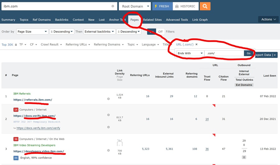 What You Can Do With a Backlink Audit