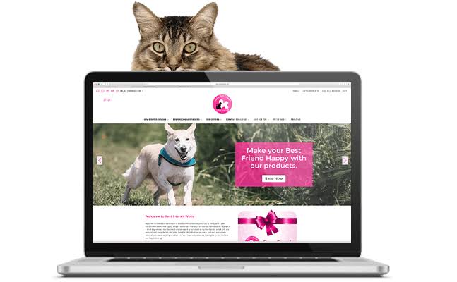 pet website content