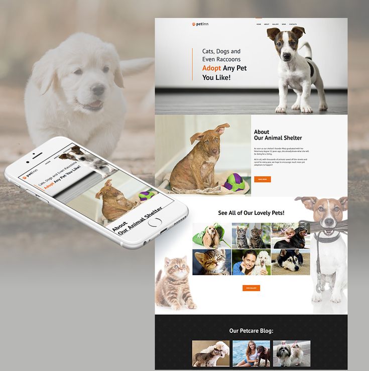 veterinary landing page